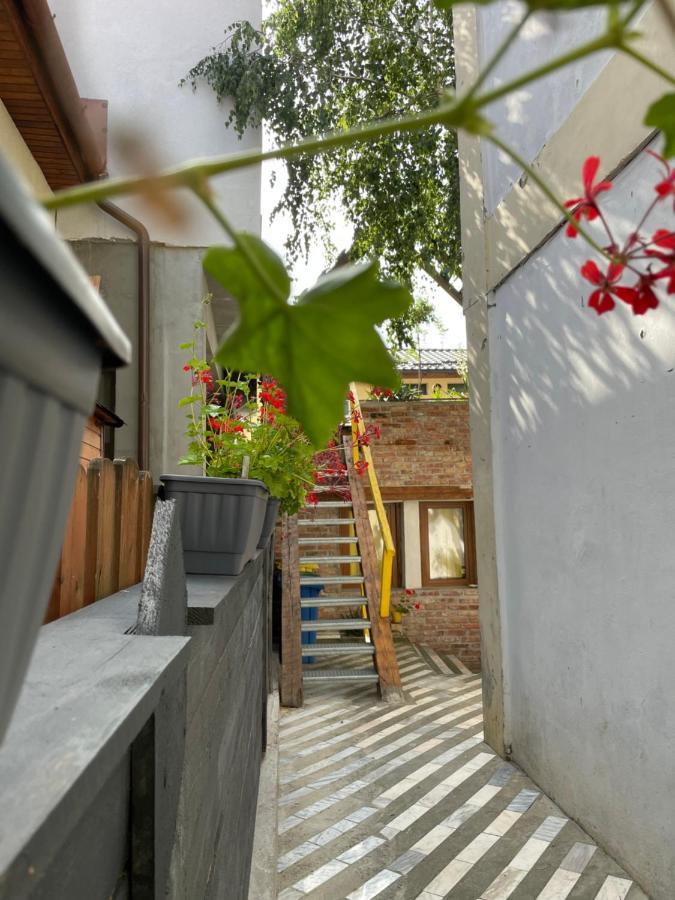 Apartament Art Cluj エクステリア 写真